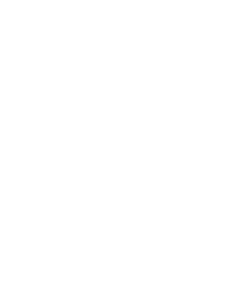 Alliance Jiu-Jitsu Rio Preto